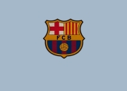 开云官网-跨界高光，当张继科附体瑞典队鏖战波兰之夜