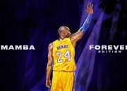 开云体育下载-东瀛武士破维京，羽坛女王创新史—体育双星闪耀时刻