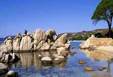 开云体育app-塞尔维亚联队再获胜利，全力争取晋级的简单介绍