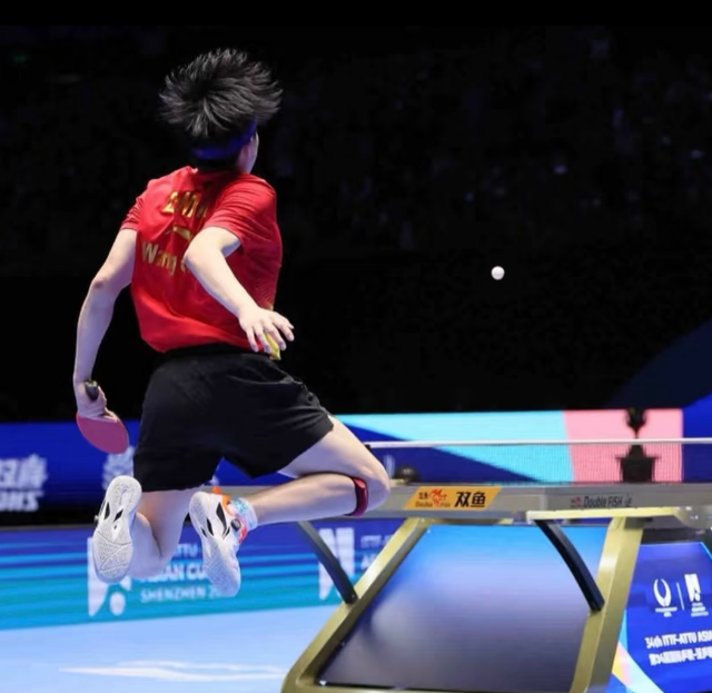比利时乒乓球队鏖战法国乒乓球队,王皓送出助攻的简单介绍 比利时乒乓球队鏖战法国乒乓球队,王皓送出助攻的简单介绍