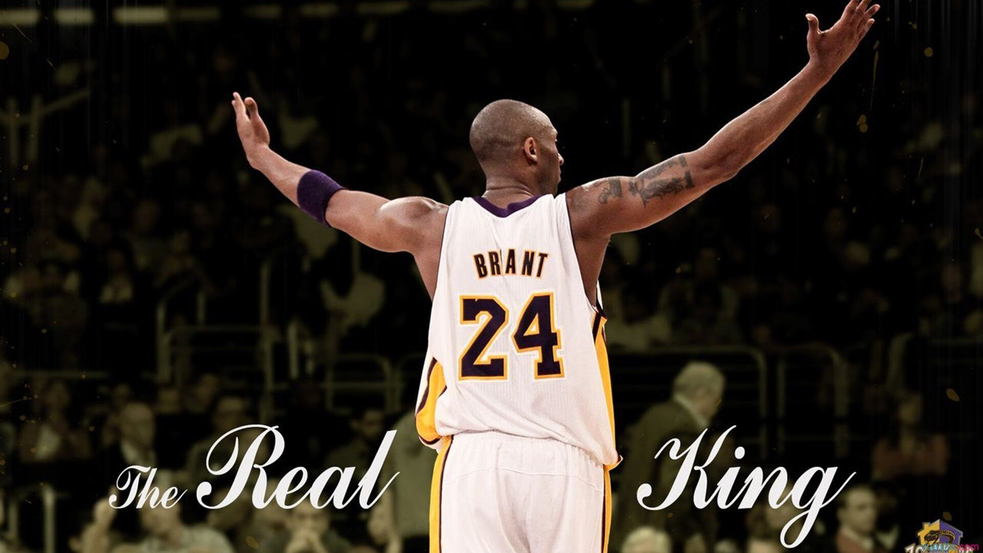 欧冠淘汰赛焦点战，公牛强势拿下雷霆