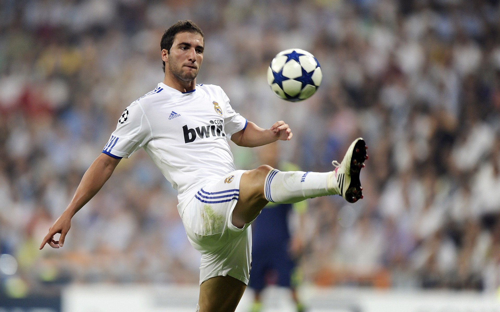 冰与火的终局,赖斯一锤定音,冰岛强行终结伊拉克黑马传奇